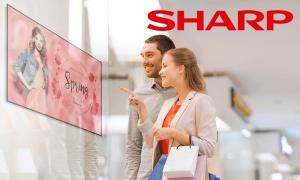CTC CAPITAL стала официальным дистрибьютором дисплеев Sharp