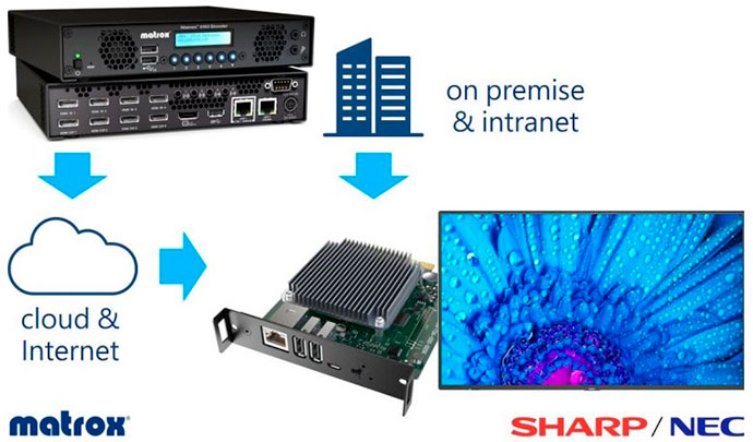NEC MediaPlayer получил совместимость с кодерами Matrox Maevex