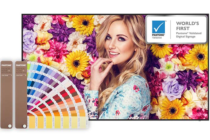 BenQ расширила серию панелей с сертификатом PANTONE® Validated