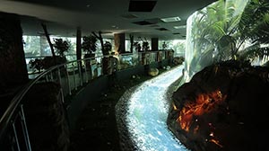 Живой лес, «выращенный» с помощью устройств Digital Projection