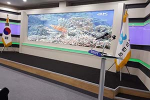 Barco UniSee нравится всем! И дизайнерам, и вещателям
