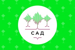 Хай-Тек Медиа открыла Студию Акустического Дизайна (САД)