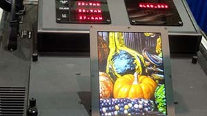 Гибридный дисплей на базе OLED, LCD и E-Inc технологий