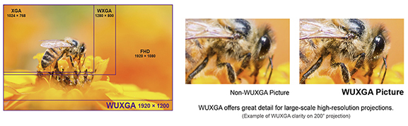 lu9715-6.jpg