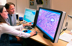 radiforce-rx850-1.jpg