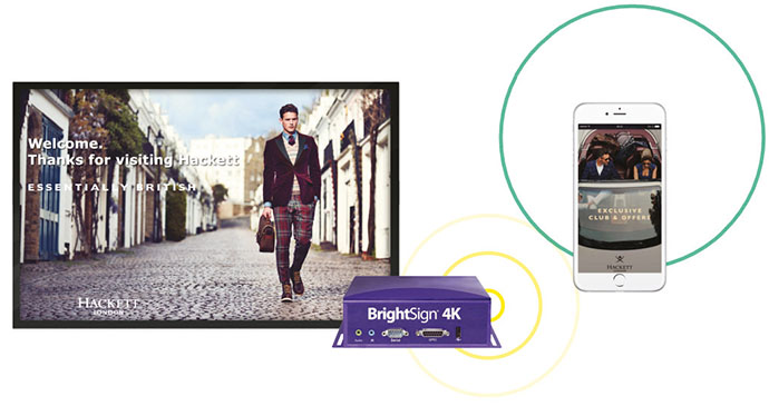 mediapleer-brightsign-1.jpg