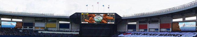 diamond-vision-1.jpg