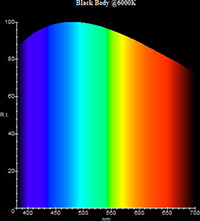 l-shoy02-02.jpg