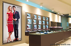 sharp-1.jpg