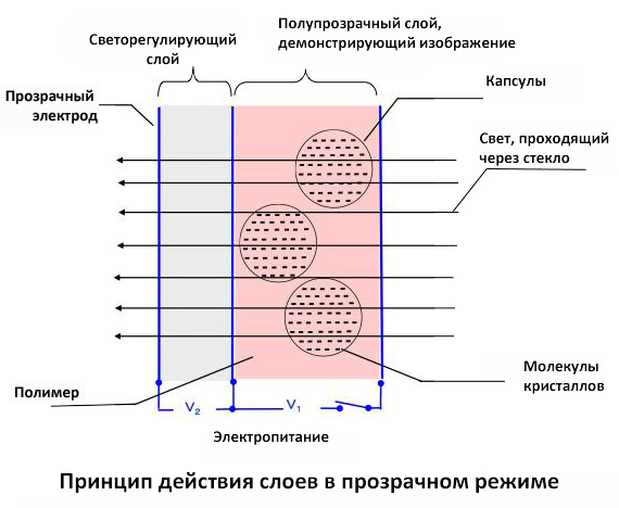 panasonic-nachinaet-prodazhi-prozrachnykh-vysokokontrastnykh-ekranov-4.jpg