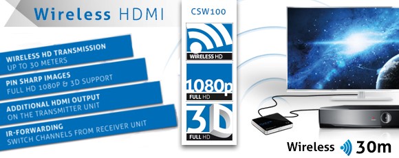 csw100-2.jpg