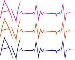 puls-av-rynka-1.jpg