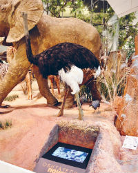 174_5.jpg