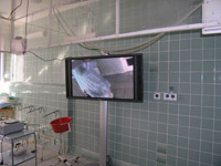 upl4.jpg