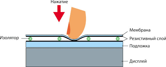 kogda-prilichno-pokazyvat-paltsem-1.jpg