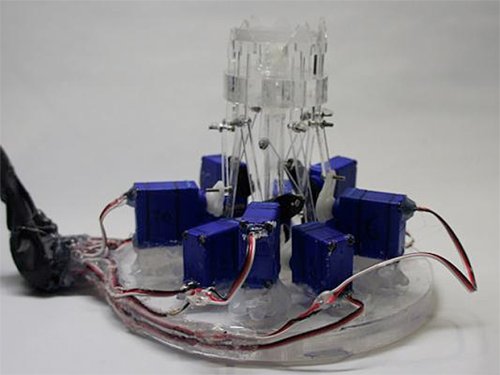 hydromorph-2.jpg