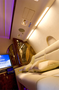 fly2.jpg