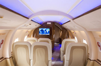 fly3.jpg