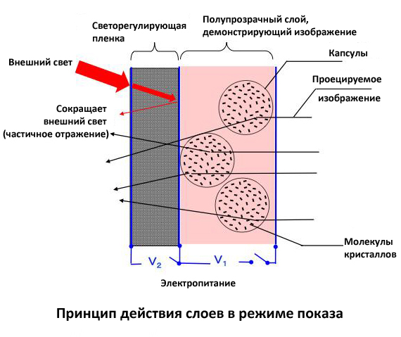 panasonic-nachinaet-prodazhi-prozrachnykh-vysokokontrastnykh-ekranov-3.jpg