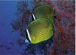 proektor-mu706-16.jpg