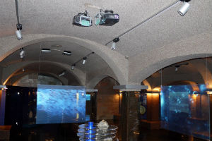 1595_2.jpg