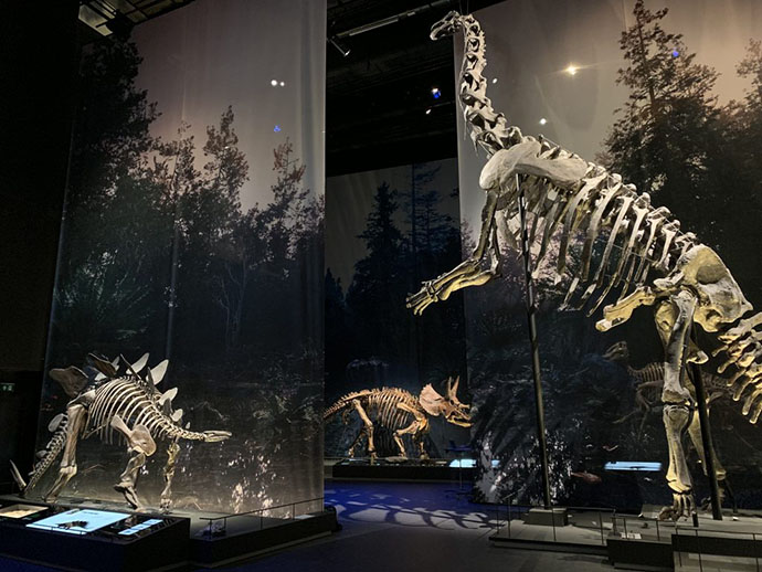 proektory-canon-ozhivili-dinozavrov-v-muzee-naturalis-2.jpeg