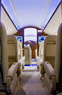 fly7.jpg