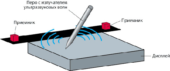 kogda-prilichno-pokazyvat-paltsem-7.jpg